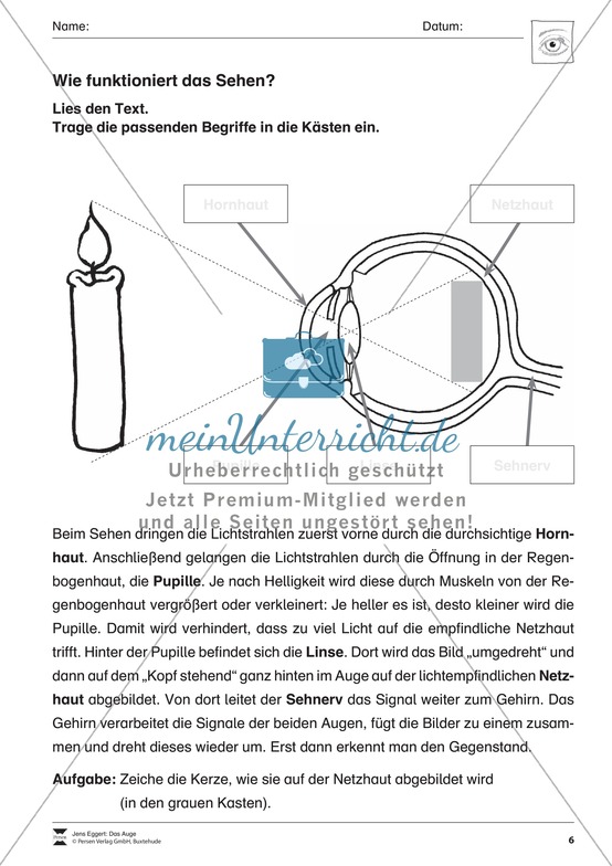 Biologie Übungen Biologie Übungen und